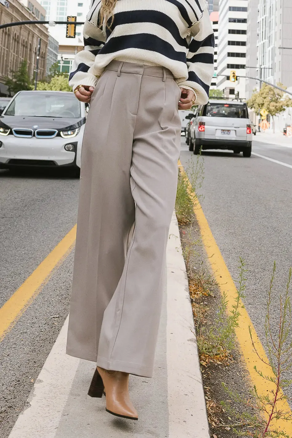 Tobi Wide Leg Pants in Taupe - FINAL SALE