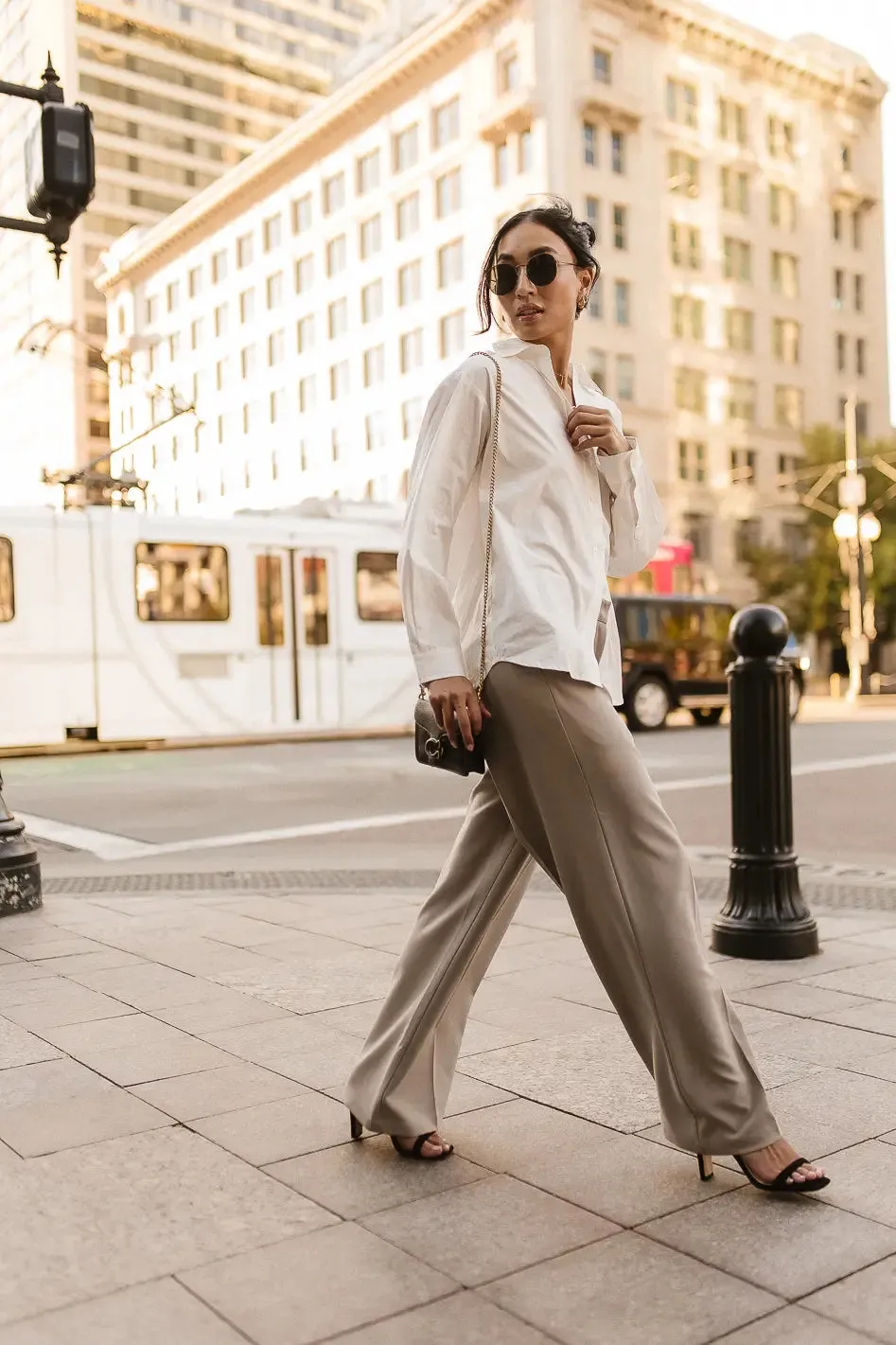 Tobi Wide Leg Pants in Taupe - FINAL SALE